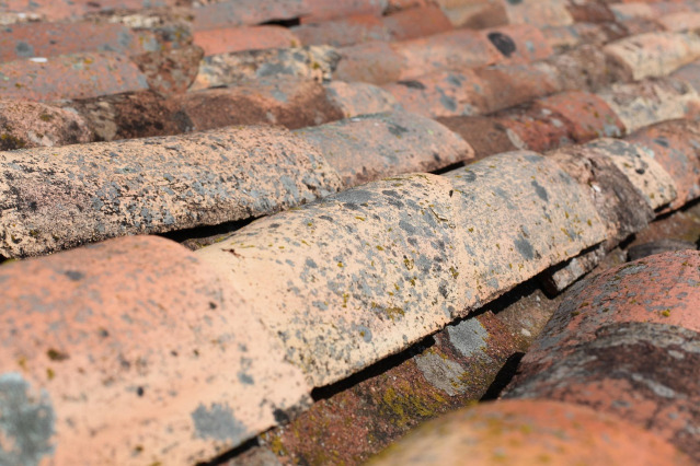 roof leak detection service